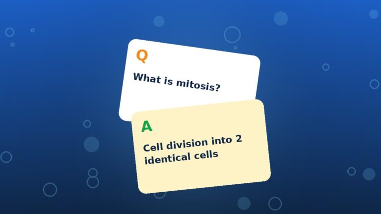 Active Recall: The Study Method That Beats Re-Reading
